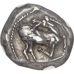 lot 801