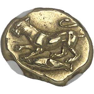 lot 808