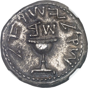 lot 821