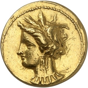 lot 831