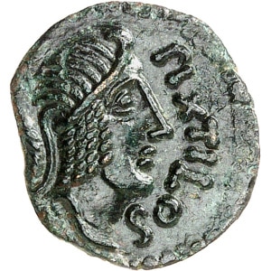 lot 842