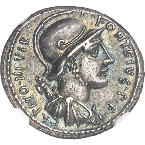 lot 855