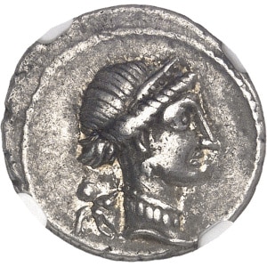 lot 864