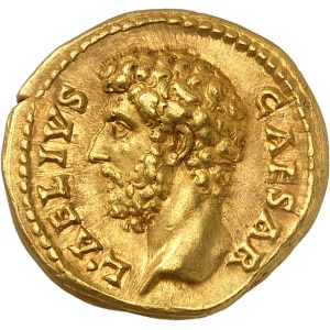 lot 876