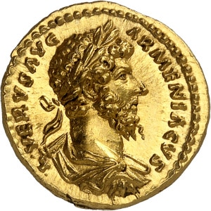 lot 882