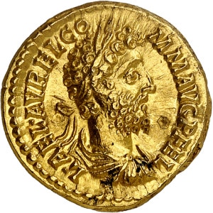 lot 884