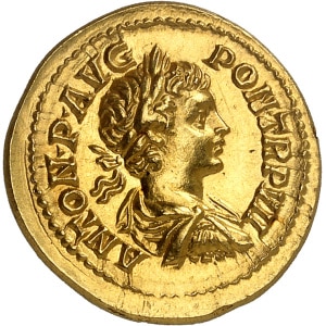 lot 889