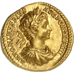 lot 891