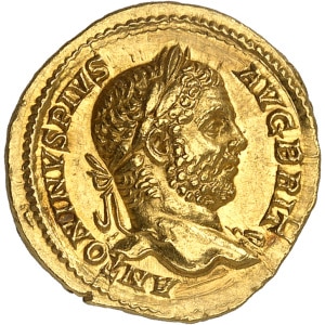 lot 892