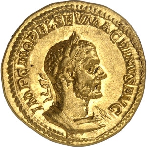 lot 893