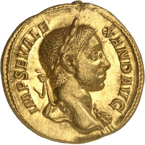 lot 894