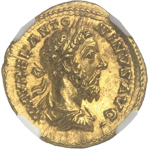 lot 934