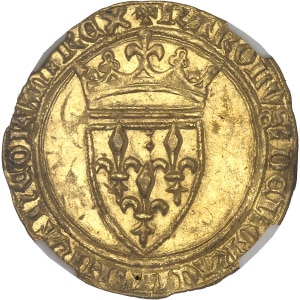 lot 1135