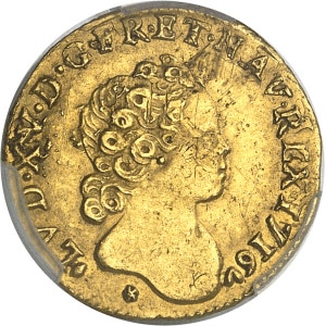 lot 1313