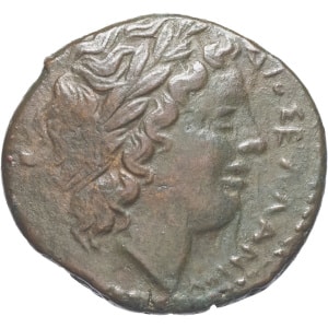 lot 6