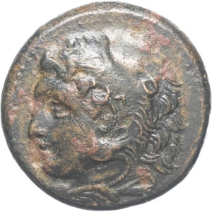 lot 7