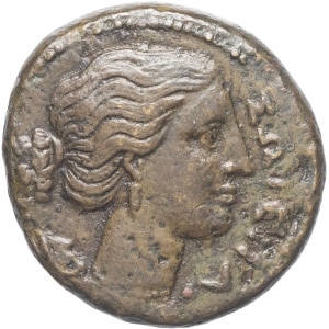 lot 8