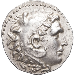lot 9