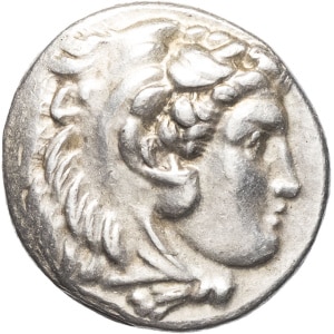 lot 11