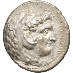lot 13