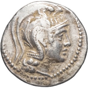 lot 30