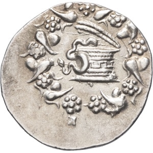 lot 46
