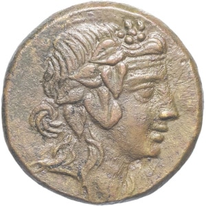 lot 50