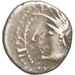 lot 119