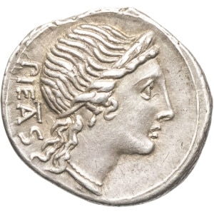 lot 193