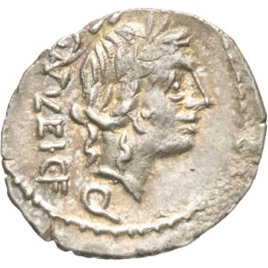 lot 205