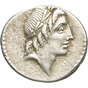 lot 207