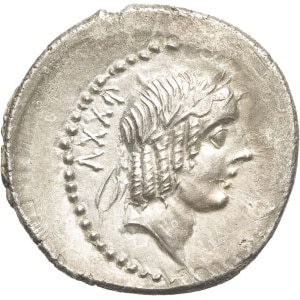 lot 212