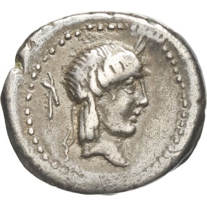 lot 213