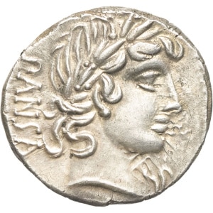 lot 215