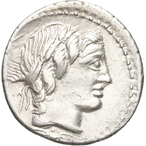 lot 222