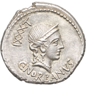 lot 223