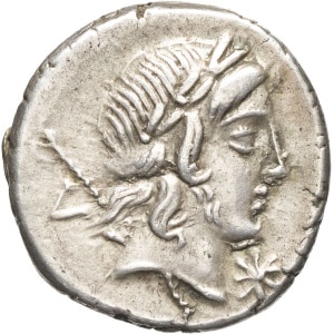 lot 225