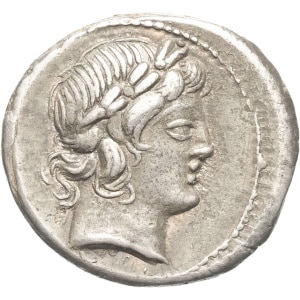 lot 226