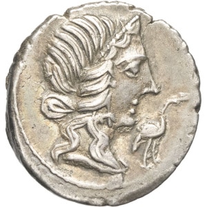 lot 227