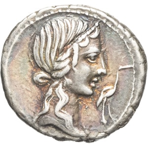 lot 228