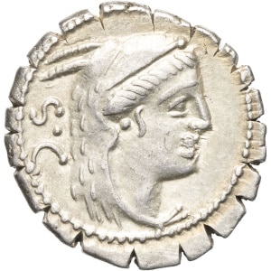 lot 231