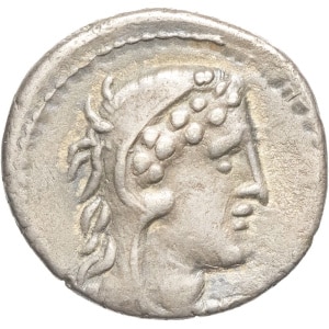lot 235