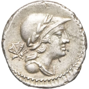 lot 237