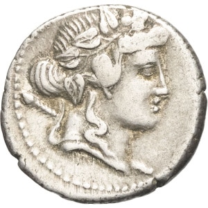 lot 238