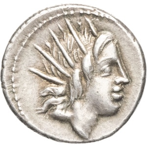 lot 241