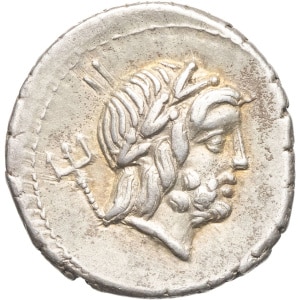 lot 242