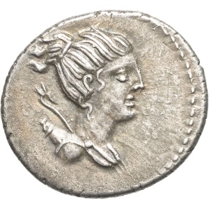 lot 244