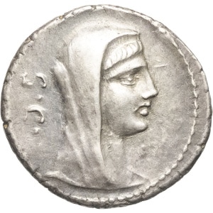 lot 245