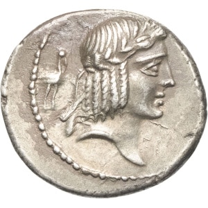 lot 247