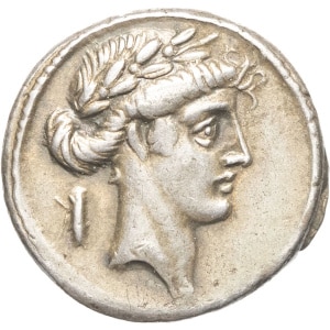 lot 251
